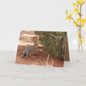 砂漠空白のでジャックラビットをフィーチャーしたグリーティングカード カード (黄色い花)