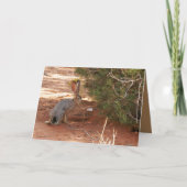 砂漠空白のでジャックラビットをフィーチャーしたグリーティングカード カード (正面)