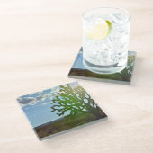 砂漠美しい ガラスコースター (アングル)