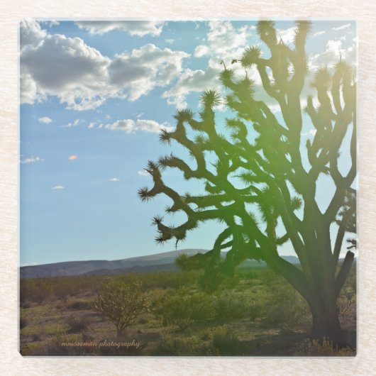 砂漠美しい ガラスコースター (正面)