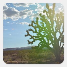 砂漠美しい スクエアシール