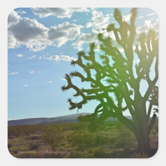 砂漠美しい スクエアシール (正面)