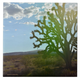 砂漠美しい タイル