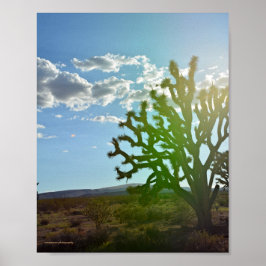 砂漠美しい ポスター