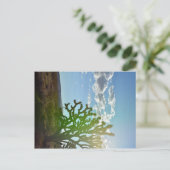 砂漠美しい ポストカード (スタンド正面)