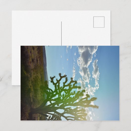 砂漠美しい ポストカード (正面/裏面)