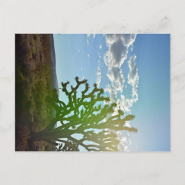 砂漠美しい ポストカード