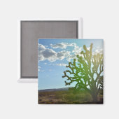 砂漠美しい マグネット (正面/裏面)