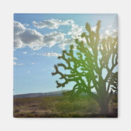 砂漠美しい マグネット