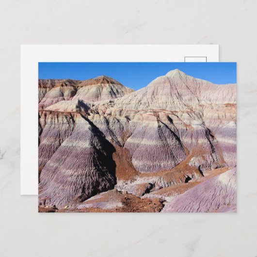 砂漠色彩の鮮やか化林国立公園 ポストカード (正面/裏面)