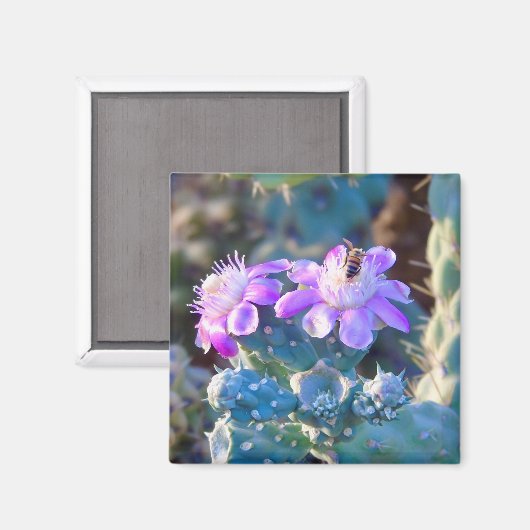 砂漠花受粉者 マグネット (正面/裏面)
