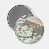 砂漠花飾り冷蔵庫磁石 マグネット (正面/裏面)