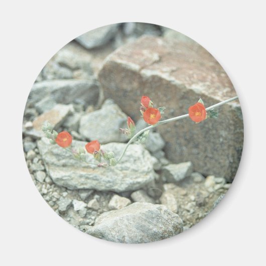 砂漠花飾り冷蔵庫磁石 マグネット (正面)