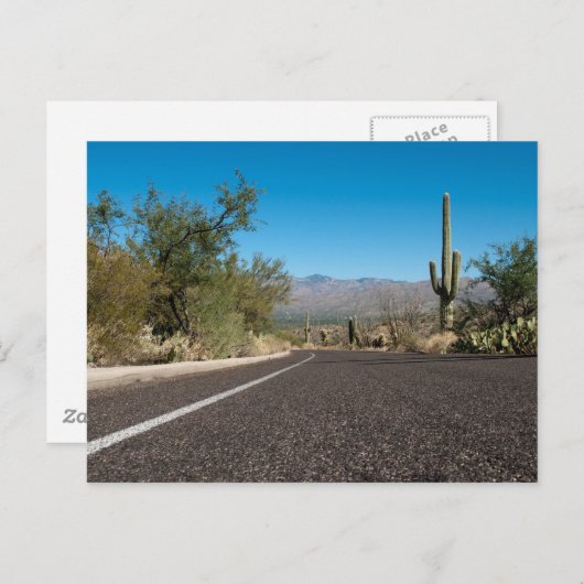 砂漠路 ポストカード (正面/裏面)