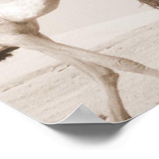 砂漠輸送 ポスター (角)