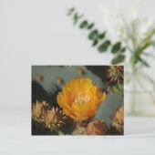 砂漠金ゴールド ポストカード (スタンド正面)