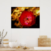 砂漠開花プリント ポスター (キッチン)