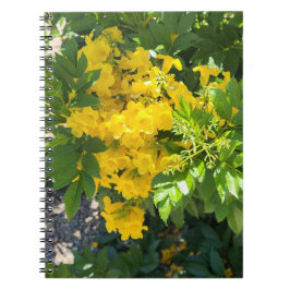 砂漠開花 ノートブック