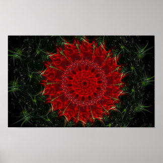 砂漠開花 ポスター