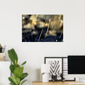 砂漠開花 ポスター (ホームオフィス)