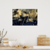 砂漠開花 ポスター (キッチン)