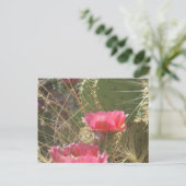 砂漠開花 ポストカード (スタンド正面)