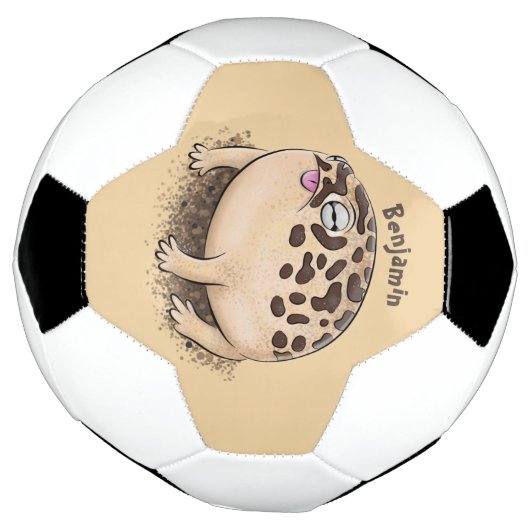 砂漠雨おもしろいカエル漫画イラストレーション サッカーボール (回転)