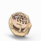 砂漠雨おもしろいカエル漫画イラストレーション フォトブロック (右)