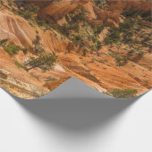 砂漠風景ブライス峡谷国立公園 ラッピングペーパー (角)