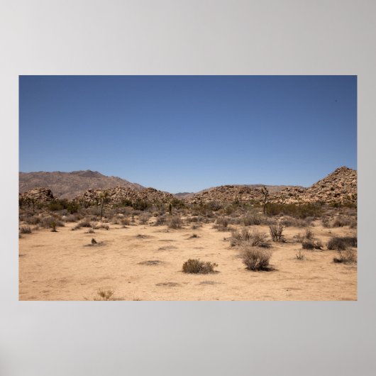砂漠風景 ポスター (正面)