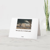 砂漠馬のグリーティングカード シーズンカード (裏面)