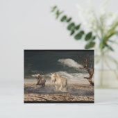 砂漠馬葉書 ポストカード (スタンド正面)