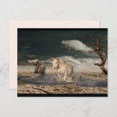 砂漠馬葉書 ポストカード (正面/裏面)