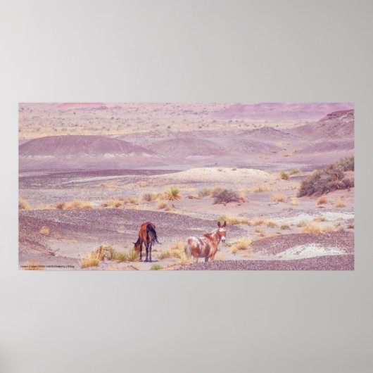 砂漠馬P8639 ポスター (正面)
