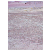 砂漠馬P8640 クリップボード (裏面)