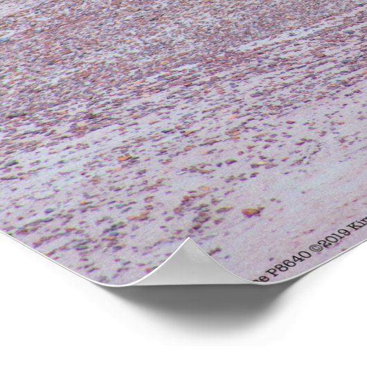 砂漠馬P8640 ポスター (角)