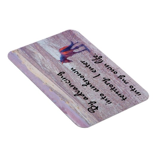 砂漠馬P8640 マグネット (右側)