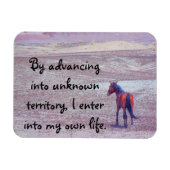 砂漠馬P8640 マグネット (横)