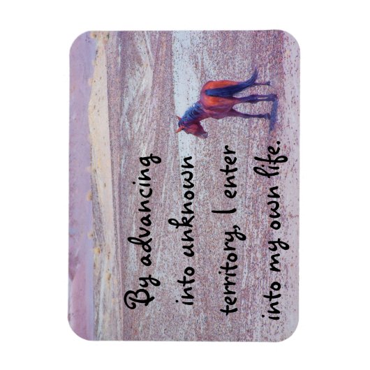 砂漠馬P8640 マグネット (縦)