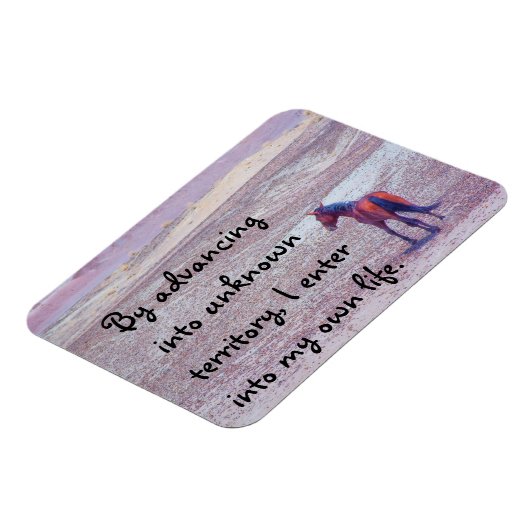 砂漠馬P8640 マグネット (左側)