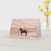 砂漠馬P8664 カード (黄色い花)