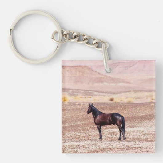 砂漠馬P8664 キーホルダー (正面)