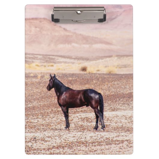砂漠馬P8664 クリップボード (正面)