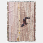 砂漠馬P8664 スローブランケット (正面縦)