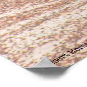 砂漠馬P8664 ポスター (角)