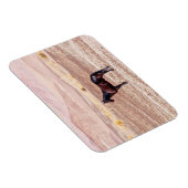 砂漠馬P8664 マグネット (右側)