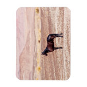 砂漠馬P8664 マグネット (縦)