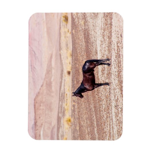 砂漠馬P8664 マグネット (縦)