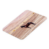 砂漠馬P8664 マグネット (左側)