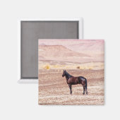 砂漠馬P8664 マグネット (正面/裏面)